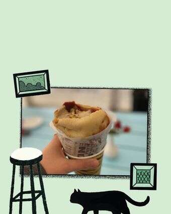 חתוליות תענוג צרוף | ג'ו ונאוה