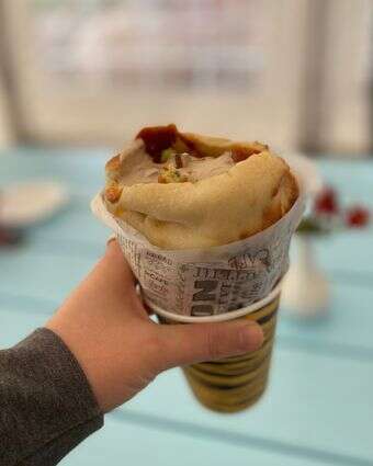 חתוליות תענוג צרוף דף הבית | ג'ו ונאוה