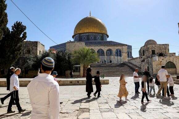 עליית יהודים להר הבית | נעמה שטרן עליית יהודים להר הבית | נעמה שטרן
