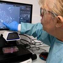 חוקרת תאי סרטן | AFP חוקרת תאי סרטן | AFP