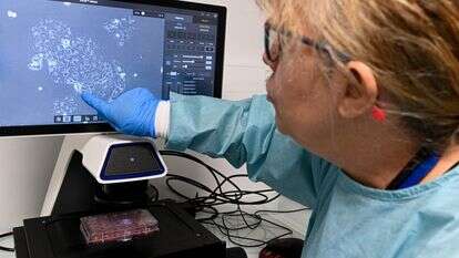 חוקרת תאי סרטן | AFP