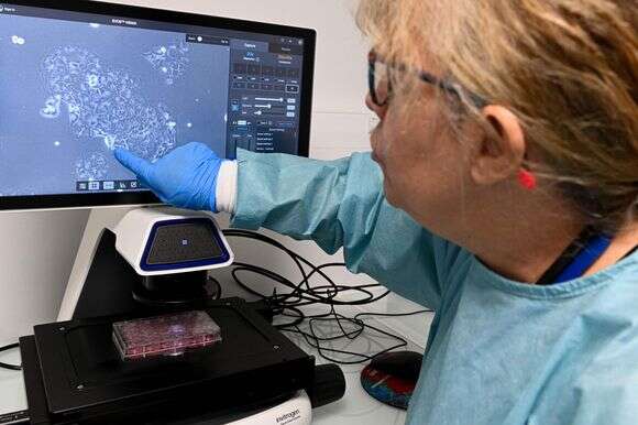 חוקרת תאי סרטן | AFP