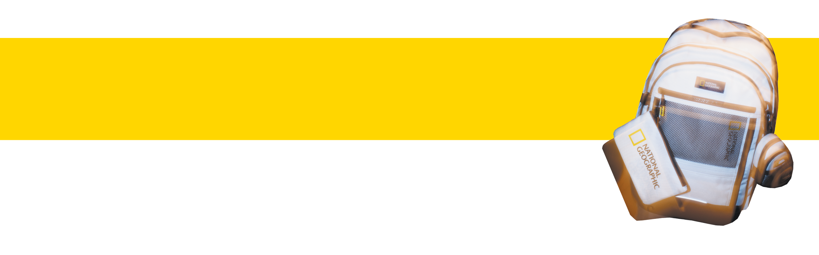 Argus Paul,washington post