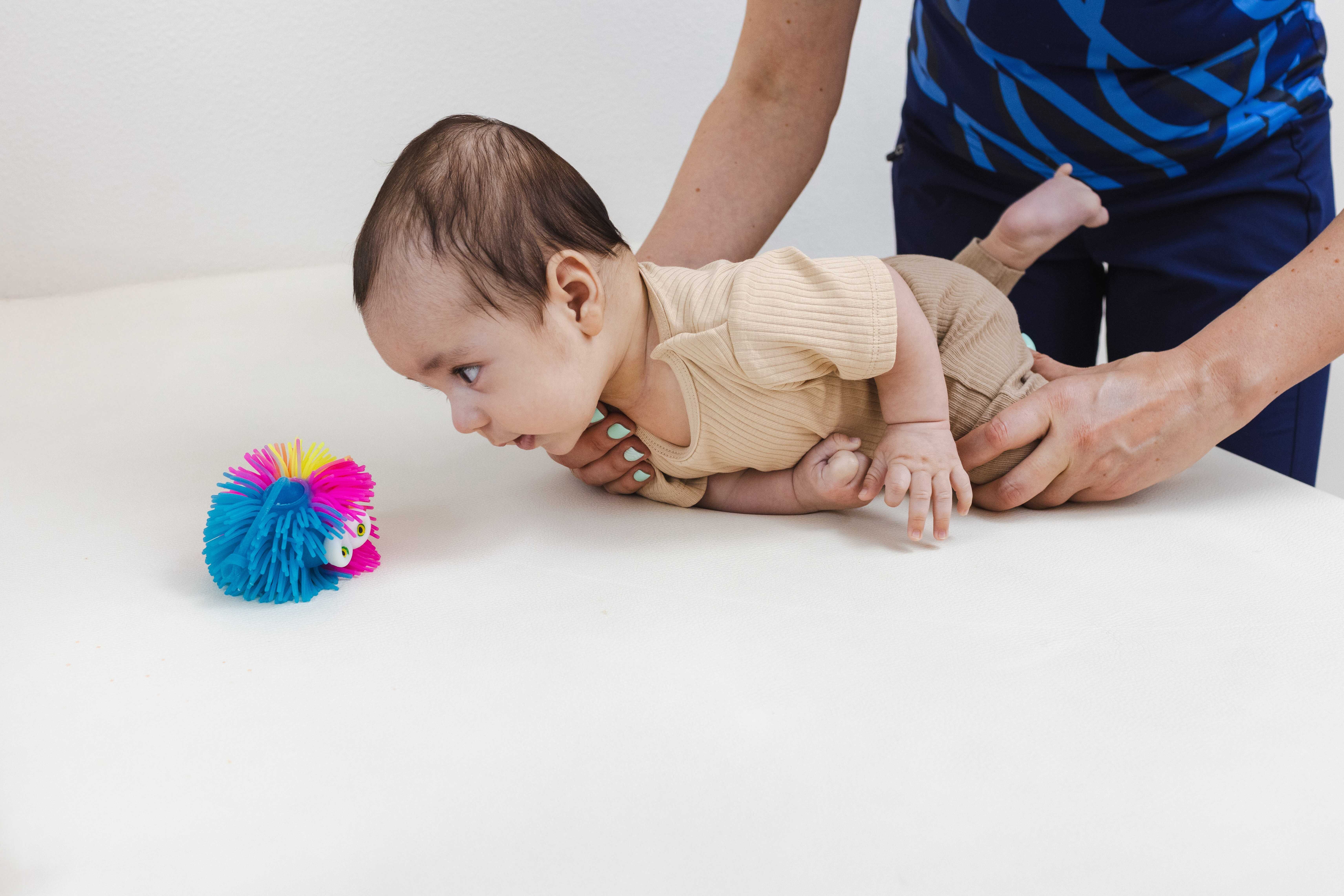 שאטרסטוק שאטרסטוק