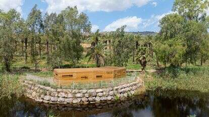 פארק ביצות כנרת – מבנה ייעודי לתצפית על עופות וחיות המים | אבי אריש, רשות ניקוז ונחלים כנרת