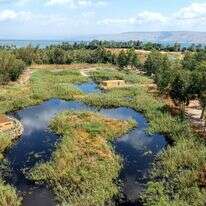 פארק ביצות כנרת מהאוויר | אבי אריש, רשות ניקוז ונחלים כנרת פארק ביצות כנרת מהאוויר | אבי אריש, רשות ניקוז ונחלים כנרת