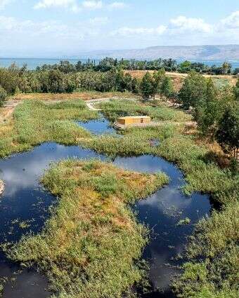 פארק ביצות כנרת מהאוויר | אבי אריש, רשות ניקוז ונחלים כנרת