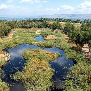 פארק ביצות כנרת מהאוויר | אבי אריש, רשות ניקוז ונחלים כנרת