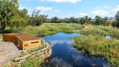 פארק ביצות כנרת | אבי אריש, רשות ניקוז ונחלים כנרת