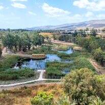 פארק ביצות כנרת מהאוויר | אבי אריש, רשות ניקוז ונחלים כנרת