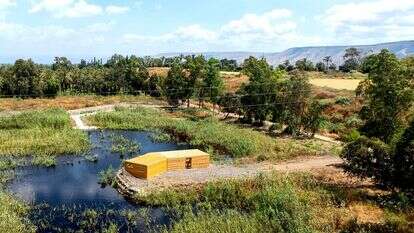 פארק ביצות כנרת | אבי אריש, רשות ניקוז ונחלים כנרת