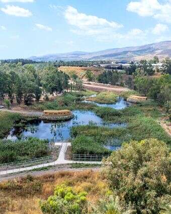 פארק ביצות כנרת מהאוויר | אבי אריש, רשות ניקוז ונחלים כנרת