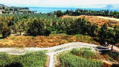 השביל והטיילות בפארק ביצות כנרת | אבי אריש, רשות ניקוז ונחלים כנרת