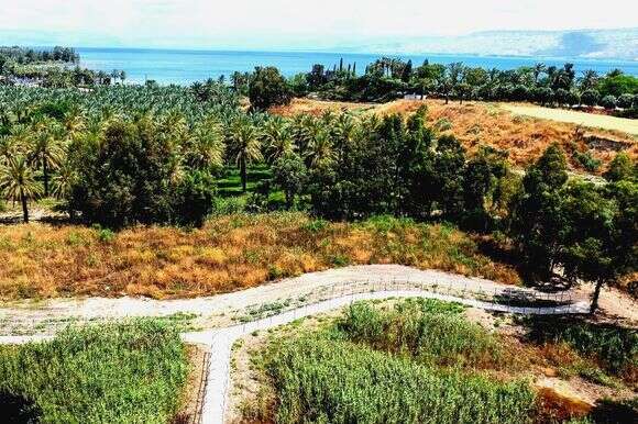 השביל והטיילות בפארק ביצות כנרת | אבי אריש, רשות ניקוז ונחלים כנרת