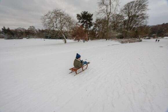 משחקים בשלג ליד בריסל, בלגיה | EPA משחקים בשלג ליד בריסל, בלגיה | EPA