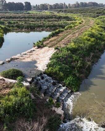 נחל אלכסנדר לאחר השיקום | רשות ניקוז ונחלים שרון נחל אלכסנדר לאחר השיקום | רשות ניקוז ונחלים שרון