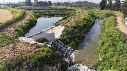 נחל אלכסנדר לאחר השיקום | רשות ניקוז ונחלים שרון נחל אלכסנדר לאחר השיקום | רשות ניקוז ונחלים שרון