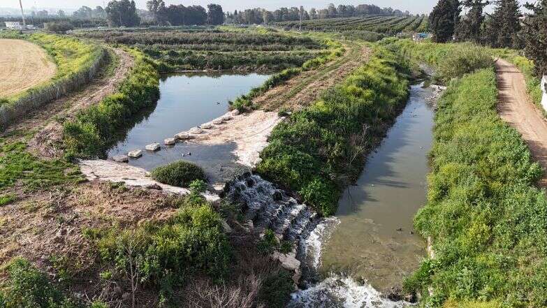 נחל אלכסנדר לאחר השיקום | רשות ניקוז ונחלים שרון