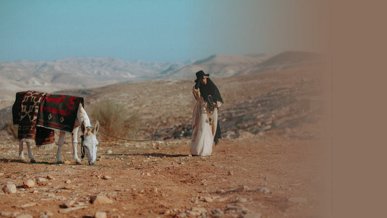 מרבד הקסמים | חי אפיק מרבד הקסמים | חי אפיק