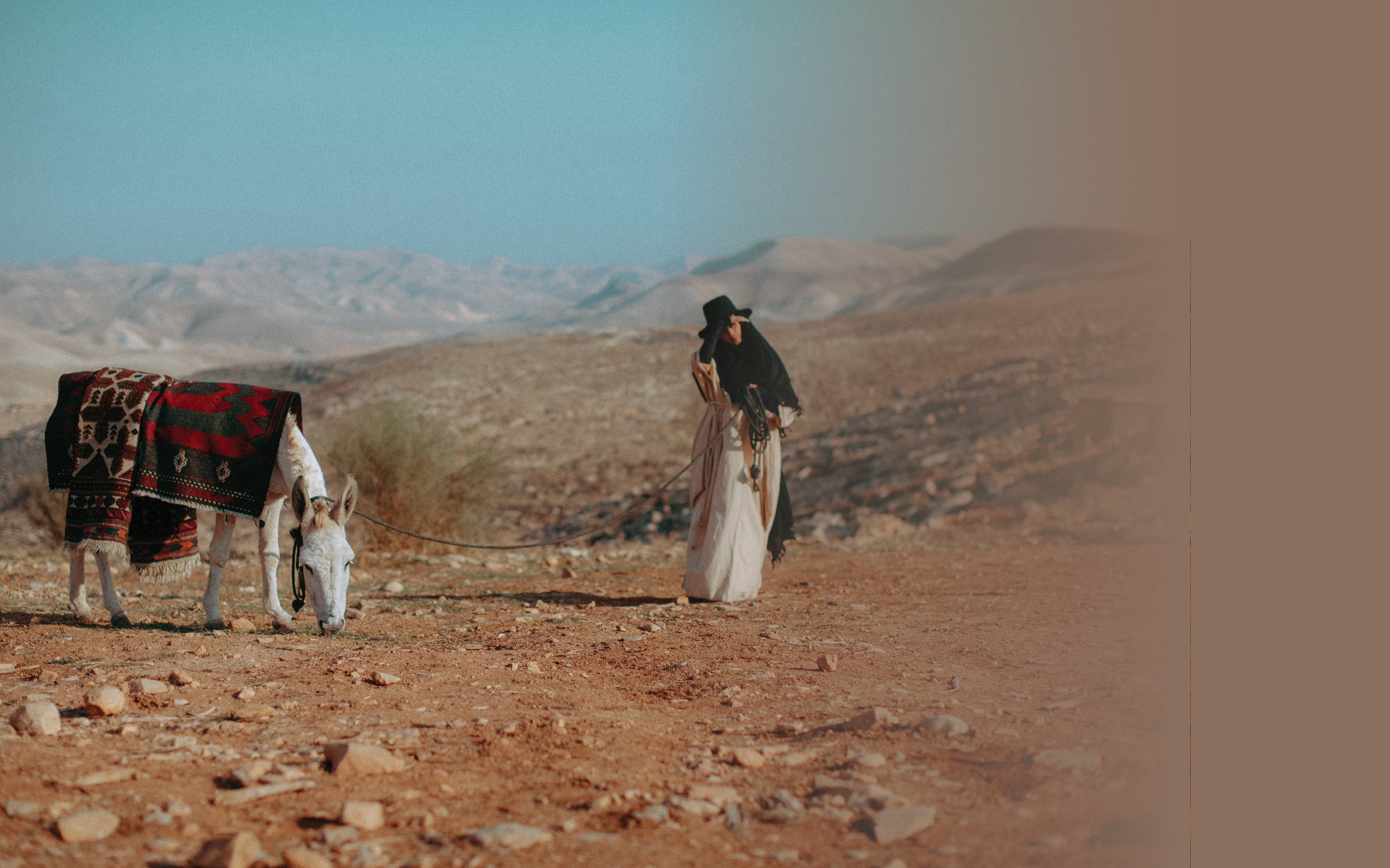 מרבד הקסמים | חי אפיק מרבד הקסמים | חי אפיק