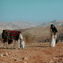 מרבד הקסמים | חי אפיק