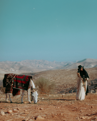 מרבד הקסמים | חי אפיק מרבד הקסמים | חי אפיק