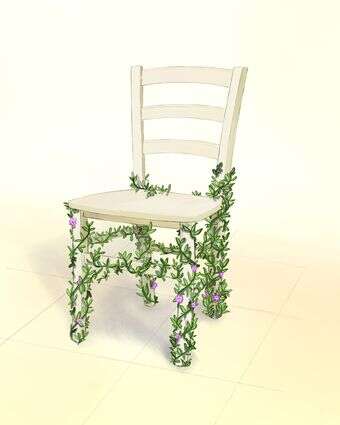 הכסא של אגמון | איור: שרון ארדיטי