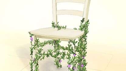 הכסא של אגמון | איור: שרון ארדיטי הכסא של אגמון | איור: שרון ארדיטי