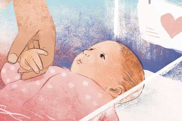 איור: נעמה להב