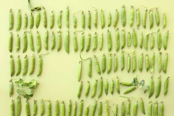 אפונה סינית בתנור | אפרת ליכטנשטט אפונה סינית בתנור | אפרת ליכטנשטט