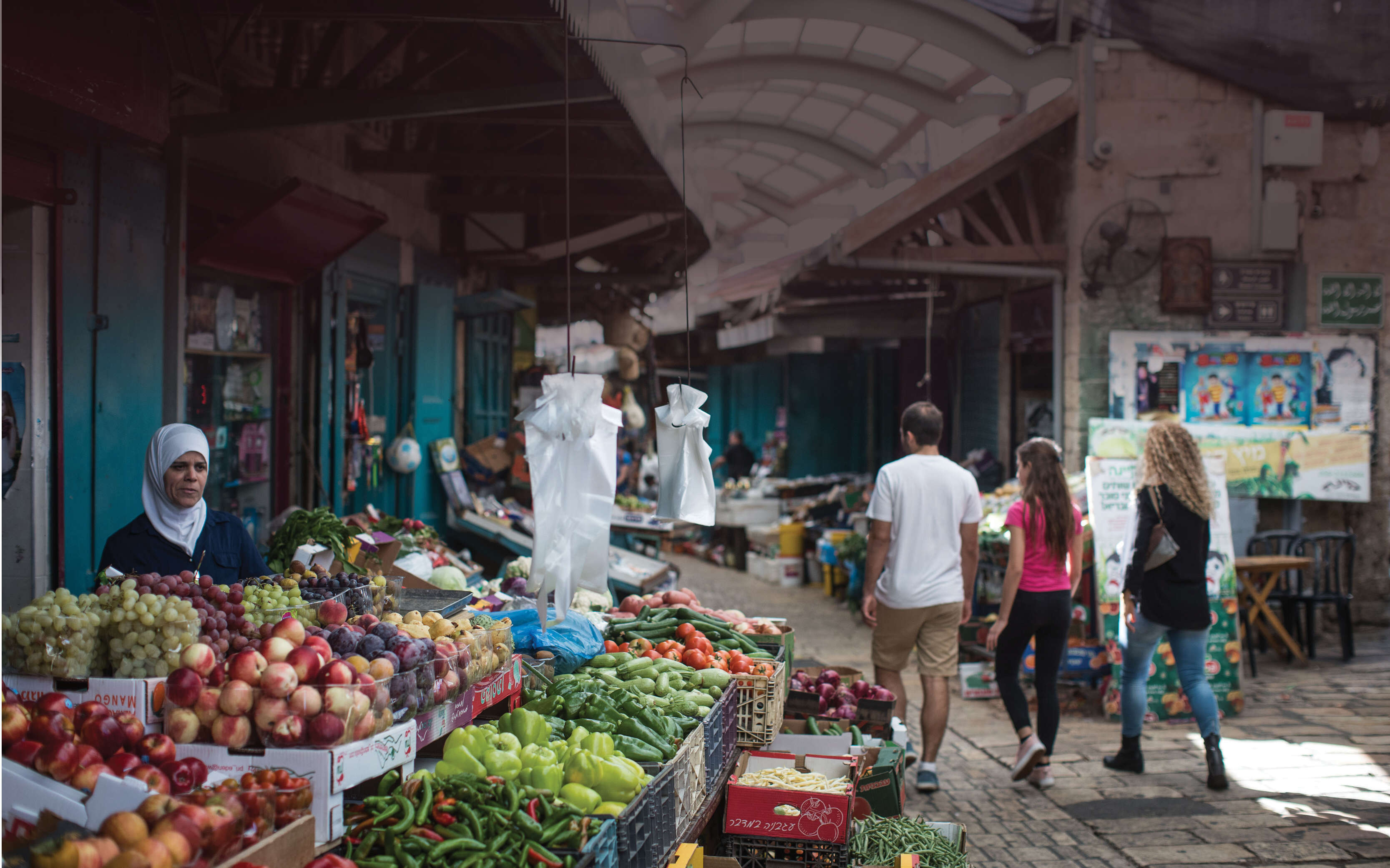 להציל את הגליל | הדס פרוש, פלאש 90