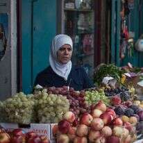 להציל את הגליל | הדס פרוש, פלאש 90