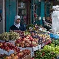 להציל את הגליל דף הבית | הדס פרוש, פלאש 90