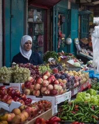 להציל את הגליל דף הבית | הדס פרוש, פלאש 90 להציל את הגליל דף הבית | הדס פרוש, פלאש 90