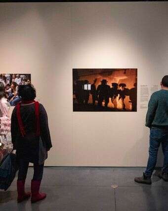 תערוכה | יונתן זינדל, פלאש 90