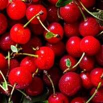 דובדבנים חמוצים | סקוט סוצ'מן; עיצוב אוכל: ליסה צ'רקסקי / הוושינגטון פוסט