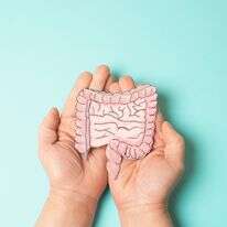 המעי הגס, אילוסטרציה | שאטרסטוק