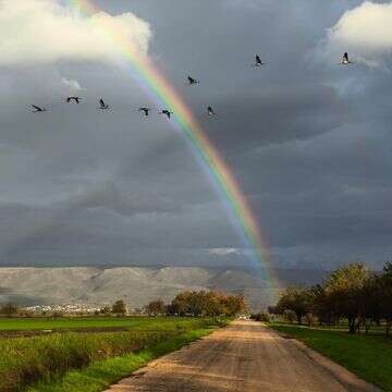 קשת באגמון החולה | צילום: ניר אספיס, אגמון החולה, קק"ל