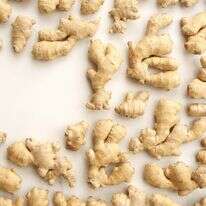 ג'ינג'יר | אפרת ליכטנשטט