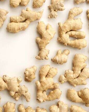 ג'ינג'יר | אפרת ליכטנשטט