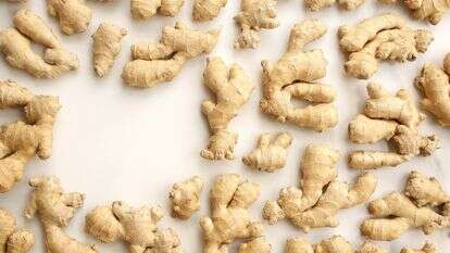 ג'ינג'יר | אפרת ליכטנשטט