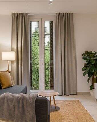 סלון מסודר אילוסטרציה | שאטרסטוק