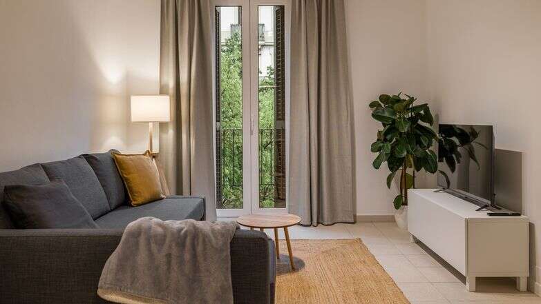 סלון מסודר אילוסטרציה | שאטרסטוק