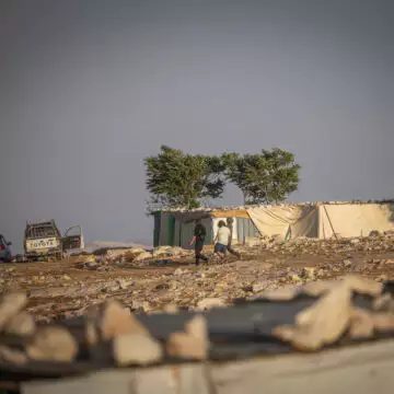 בדואים בנגב | חיים גולדברג - פלאש 90