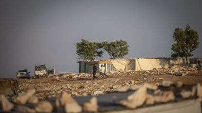 בדואים בנגב | חיים גולדברג - פלאש 90