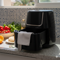 ניקיון אייר פרייר | ג'מיני