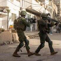 פעילות כוחות צה"ל בשכם | דובר צה"ל