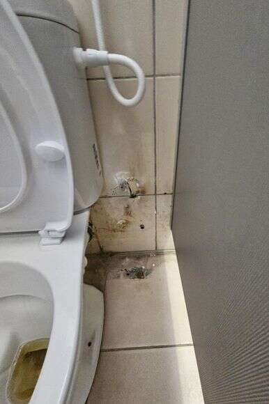 ליקויים בשירותים של בי"ס | ללא