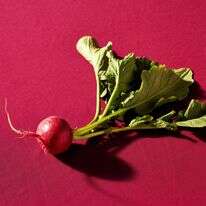 צנוניות | ג'סטין טסוקאלאס סטיילינג: ליסה צ'רקסקי עבור הוושינגטון פוסט