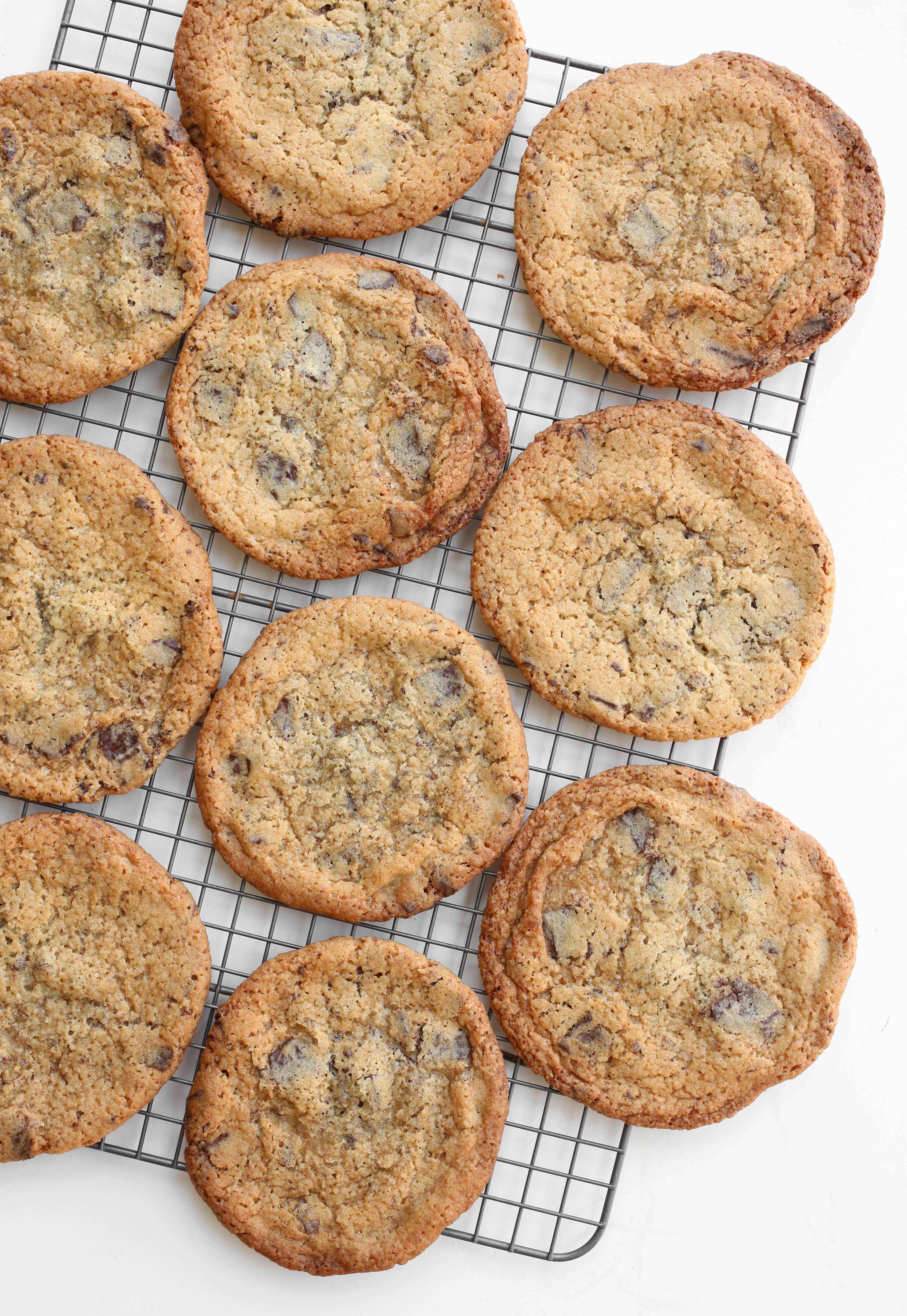 עוגיפלצת: העוגיות הקריספיות, הדקיקות והעצומות | אפרת ליכטנשטט